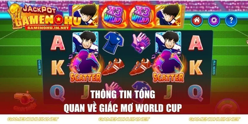 Thông tin tổng quan về giấc mơ World Cup 